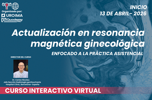 Actualización en resonancia magnética ginecológica (2a. edición)