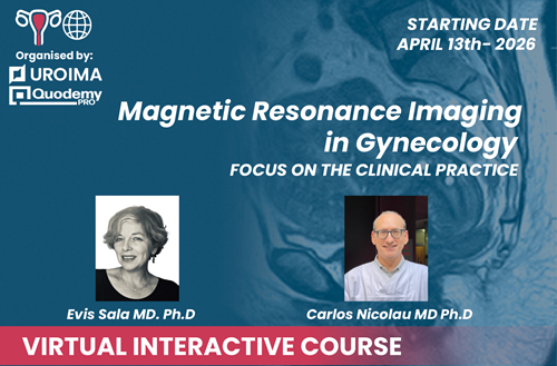 Magnetic Resonance Imaging in Gynecology